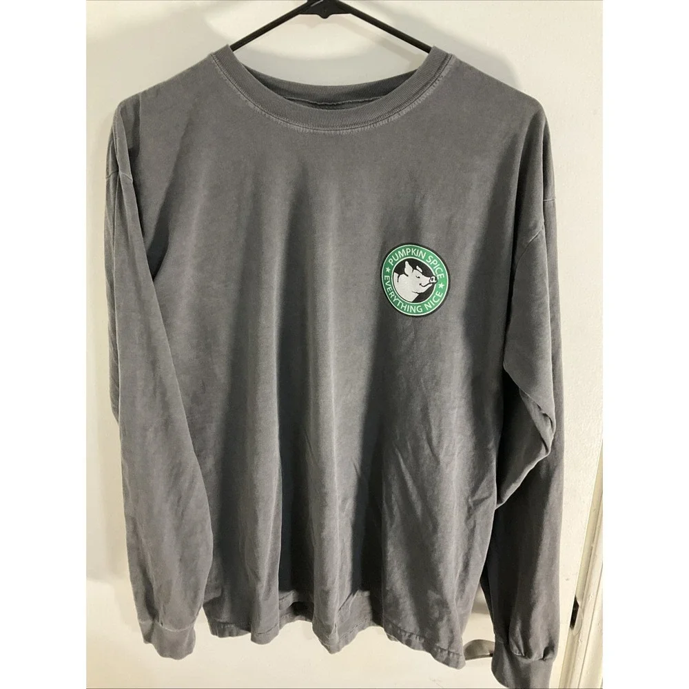 Southern Trend Shirt Womens Large Pig Graphic Pumpkin Spice Gray Long Sleeve - Picture 3 of 5